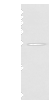 Western blot analysis of K562 cell  using MOB1B Polyclonal Antibody at dilution of 1:250