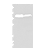 Western blot analysis of PC-3 and K562 cell lysates  using CD55 Polyclonal Antibody at dilution of 1:350