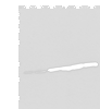 Western blot analysis of 293T cell Hela cell HEPG2 cell and A549 cell lysates  using SNRPA Polyclonal Antibody at dilution of 1:250