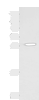 Western blot analysis of Human cerebrum tissue lysate  using TBCB Polyclonal Antibody at dilution of 1:800