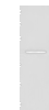 Western blot analysis of Human kidney tissue lysate  using DHRS7 Polyclonal Antibody at dilution of 1:400