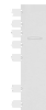Western blot analysis of Mouse brain tissue lysate  using PFKM Polyclonal Antibody at dilution of 1:350