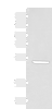 Western blot analysis of Rat heart tissue lysate  using PSMD12 Polyclonal Antibody at dilution of 1:300