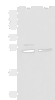 Western blot analysis of Hela and K562 cell lysates  using SNRPB2 Polyclonal Antibody at dilution of 1:1600