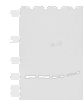Western blot analysis of A549 A172 TM4 and PC3 cell lysates  using ASTE1 Polyclonal Antibody at dilution of 1:600