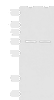 Western blot analysis of Mouse liver tissue and Jurkat cell lysates  using MKS1 Polyclonal Antibody at dilution of 1:700