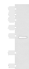 Western blot analysis of Mouse heart tissue lysate  using FUCA2 Polyclonal Antibody at dilution of 1:1000