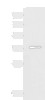 Western blot analysis of Mouse thymus tissue lysate  using L3MBTL2 Polyclonal Antibody at dilution of 1:1000
