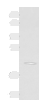 Western blot analysis of RAW264.7 cell lysate  using MARCKSL1 Polyclonal Antibody at dilution of 1:750