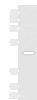 Western blot analysis of TM4 cell lysate  using DNAJA4 Polyclonal Antibody at dilution of 1:800