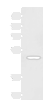 Western blot analysis of TM4 cell lysate  using SNIP1 Polyclonal Antibody at dilution of 1:1150