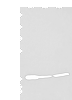 Western blot analysis of 293T and Hela cell lysates  using P2RY11 Polyclonal Antibody at dilution of 1:250