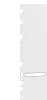 Western blot analysis of Human fetal brian tissue  using CALB2 Polyclonal Antibody at dilution of 1:400