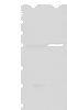 Western blot analysis of Human left kidney tissue and Human fetal liver tissue lysates  using DDC Polyclonal Antibody at dilution of 1:400