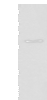 Western blot analysis of Human fetal liver tissue lysate  using CES2 Polyclonal Antibody at dilution of 1:600