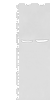 Western blot analysis of HEPG2 and Jurkat cell lysates  using EBF2 Polyclonal Antibody at dilution of 1:650