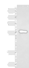 Western blot analysis of Raji cell lysate  using SQSTM1 Polyclonal Antibody at dilution of 1:900