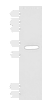 Western blot analysis of Mouse liver tissue lysate  using RGR Polyclonal Antibody at dilution of 1:300