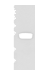 Western blot analysis of Human testis tissue  using GLIPR1L1 Polyclonal Antibody at dilution of 1:300