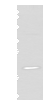 Western blot analysis of RAW264.7 cell lysate  using UFC1 Polyclonal Antibody at dilution of 1:500