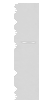 Western blot analysis of 293T cell lysate  using USP3 Polyclonal Antibody at dilution of 1:450