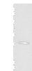 Western blot analysis of Human urinary bladder tissue lysate  using CFHR2 Polyclonal Antibody at dilution of 1:550