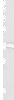 Western blot analysis of Human brain malignant glioma tissue  using P2RY6 Polyclonal Antibody at dilution of 1:550