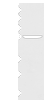 Western blot analysis of Mouse brain tissue  using FOXG1  Polyclonal Antibody at dilution of 1:550