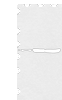 Western blot analysis of 293T cell  using CCNT2 Polyclonal Antibody at dilution of 1:250