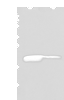 Western blot analysis of RAW264.7 and K562 cell lysates  using BRI3BP Polyclonal Antibody at dilution of 1:500