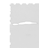 Western blot analysis of Mouse brain tissue Rat brain tissue Human cerebrum tissue Human cerebella tissue lysates  using MOG Polyclonal Antibody at dilution of 1:250