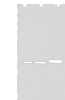 Western blot analysis of A549 Hela and K562 cell lysates  using RPF2 Polyclonal Antibody at dilution of 1:400