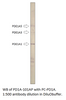 PDE1A Antibody from Fabgennix