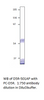 Dopamine D5 Receptor Antibody from Fabgennix