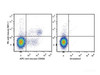 C57BL/6 murine splenocytes are stained with PE Anti-Mouse CD161/NK1.1 Antibody and APC Anti-Mouse CD49b Antibody(Left). Unstained splenocytes are used as control(Right).