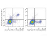 C57BL/6 murine splenocytes are stained with PerCP-Cyanine5.5 Anti-Mouse CD161/NK1.1Antibody [Used at .2 μg/1<sup>6</sup> cells dilution] and AF488 Anti-Mouse CD49b Antibody. Splenocytes stained with AF488 Anti-Mouse CD49b Antibody(Right) are used as control.