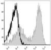 Mouse splenocytes are stained with APC Anti-Mouse MHC II (I-A/I-E) Antibody[Used at .2 μg/1<sup>6</sup> cells dilution](filled gray histogram). Unstained splenocytes (blank black histogram) are used as control.