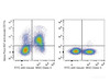 C57BL/6 murine splenocytes are stained with AF647 Anti-Mouse CD11c Antibody[Used at .2 μg/1<sup>6</sup> cells dilution] and FITC Anti-Mouse MHC II (I-A/I-E) Antibody. Splenocytes stained with FITC Anti-Mouse MHC II (I-A/I-E) Antibody(Right) are used as control.