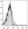 C57BL/6 murine splenocytes are stained with APC Anti-Mouse CD28 Antibody(filled gray histogram). Unstained splenocytes (empty black histogram) are used as control.