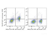 C57BL/6 murine splenocytes are stained with PerCP-Cyanine5.5 Anti-Mouse CD28 Antibody[Used at .2 μg/1<sup>6</sup> cells dilution] and AF488 Anti-Mouse CD3 Antibody. Splenocytes stained with AF488 Anti-Mouse CD3 Antibody(Right) are used as control.