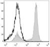 Mouse bone marrow cells are stained with PerCP Anti-Mouse/Human CD11b Antibody(filled gray histogram). Unstained bone marrow cells (blank black histogram) are used as control.