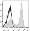 C57BL/6 murine splenocytes are stained with APC Anti-Mouse CD9.2 Antibody(filled gray histogram). Unstained splenocytes (empty black histogram) are used as control.