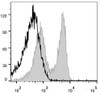 Rat splenocytes are stained with PerCP Anti-Rat CD8a Antibody(filled gray histogram). Unstained splenocytes (empty black histogram) are used as control.