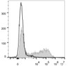 HEK293T cells transiently transfected with pcDNA3.1 plasmid encoding Mouse IFN-γ gene are stained with APC Anti-Mouse IFN-γ Antibody[Used at .2 μg/1<sup>6</sup> cells dilution](filled gray histogram)or APC Rat IgG1, κ lsotype Control(empty black histogram).