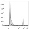 Rat splenocytes are stained with PE/Cyanine7 Anti-Rat CD4(domain 1) Antibody(filled gray histogram). Unstained splenocytes (empty black histogram) are used as control.