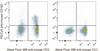 C57BL/6 murine splenocytes are stained with PE/Cyanine5 Anti-Mouse CD183/CXCR3 Antibody and AF488 Anti-Mouse CD3 Antibody(Left). Splenocytes stained with AF488 Anti-Mouse CD3 Antibody (Right) are used as control.