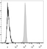 Human peripheral blood lymphocytes are stained with PerCP/Cyanine5.5 Anti-Human CD45 Antibody(filled gray histogram). Unstained lymphocytes (empty black histogram) are used as control.