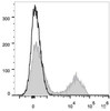 C57BL/6 murine splenocytes are stained with PE Anti-Mouse CD5 Antibody(filled gray histogram). Unstained splenocytes (empty black histogram) are used as control.