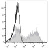 HEK293T cells transiently transfected with pcDNA3.1 plasmid encoding Mouse IL-1 gene are stained with PE Anti-Mouse IL-1 Antibody(filled gray histogram) or PE Rat IgG2b, κ lsotype Control(empty black histogram).