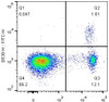 C57BL/6 splenocytes are surface stained with APC Anti-Mouse CD4 Monoclonal Antibody followed by fixation and permeabilization using the Foxp3 Staining/Transcription Factor Buffer Set and intracellular staining with FITC Anti-Mouse Foxp3 Monoclonal Antibody.